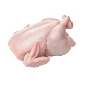 Whole broiler chicken